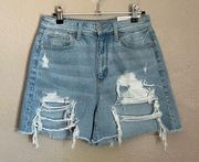 American Eagle NWT  Distressed Relaxed Mom Shorts 4 27