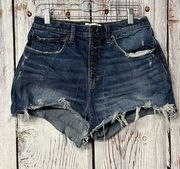 Abercrombie + Fitch Curve Love The High Rise Mom Jean Shorts - Blue / Size 10