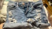 American Eagle Outfitters Ripped Shorts