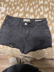 PacSun High Rise Festival Short