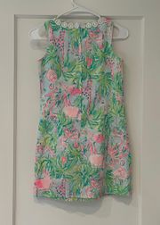 Girls  Dress Size 12