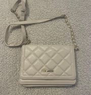 Steve Madden Purse