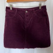 Forever 21 𝅺VELVET mini skirt, , SZ Medium