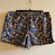 Patagonia Rare  Baggies Shorts in Canyon Block