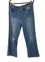 Wallflower The Flirty Curvy High Rise Button Fly Jeans 20W