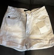 Kancan Highrise Shorts