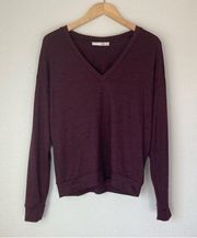 V-Neck Plum Purple Sweater Top
