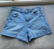 American Eagle Outfitters Mom Shorts