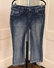 Rhythm in Blues size 10 reg capri Jean pants y2k