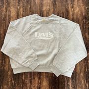 Levi's LIGHT HEATHER GREY Women's Raglan Sleeve Graphic Sweatshirt Hoodie Med