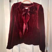 Gorgeous wine velvet blazer