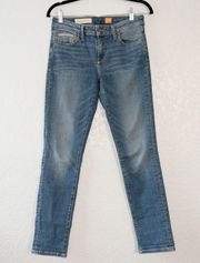Pilcro & The Letterpress x Anthropologie Blue Stet Fit Straight Jeans Size 27