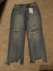 Hidden Tracy Jeans