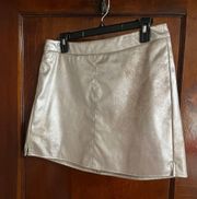 Silver Suede Skirt