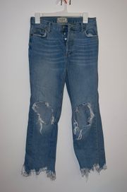 Distressed Ankle Jeans Size 24