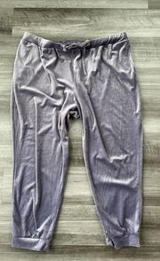 ASOS Purple Velour Jogger Pants Size 22 Plus Soft Lounge Sweatpants N5
