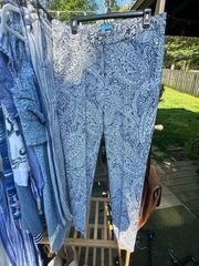 Size 12 J McLaughlin Pants