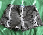 Hollister  Black Distressed Jean Shorts