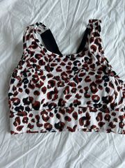 Cheetah Print Sports Bra