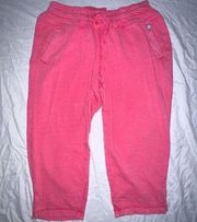 Lane Bryant Livi Activewear Joggers in Salmon (14/16)