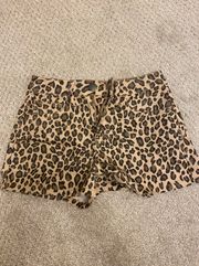 Cheetah Print Shorts