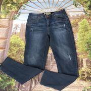 DEMOCRACY distressed jeans size 6