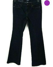 Ann Taylor Loft Modern Flare Blue Jeans Sz 4