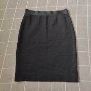 Everlane Pencil Skirt