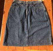 LL Bean Denim Jean Skirt