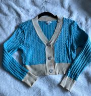 Blue Cardigan