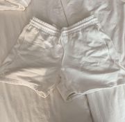 Aritzia tna sweat shorts