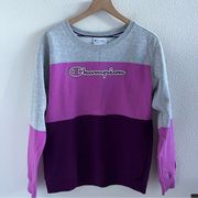 Champion  Authentic Athleticwear Colorblock Crewneck Sweatshirt Large