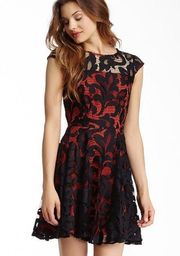 Greylin Lace Cap Sleeve Dress