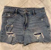 High Rise Shorts