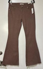 Pacsun Low Rise Flare Stretch Brown Jeans Size 26 New w/ Tags Frayed Hem