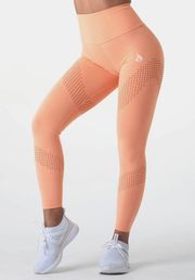 💕Sherbert Perforated Leggings💕