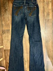 Dojo Flare Jeans