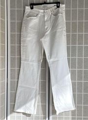 NWT Judy Blue High waist Bootcut jeans in white size 14W JB 82279