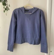 Pacsun  Cropped Sweatshirt