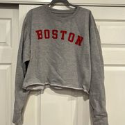 Obsessive Love Cropped Boston Crewneck