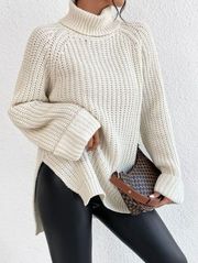 Turtleneck Sweater