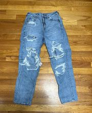 American Eagle  Outfitters Moms Jeans