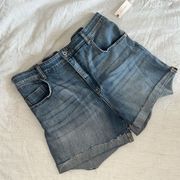 Anthro Pilcro and the Letterpress Mom Denim Shorts