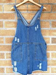 Others follow denim overall dress large