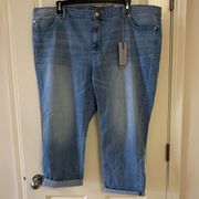 boyfriend cropped jeans size 24W