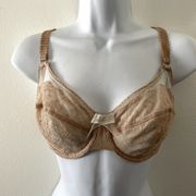 Wacoal Bra 34DD Beige Retro Chic Underwire Unlined Lace Lacey Bow Swiss Dot Mesh