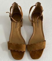 Lucky Brand Norrey Suede Leather Lining Heels With Scallop Detail Size 11