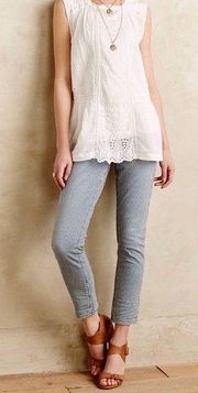Anthropologie Pilcro And The Letterpress Blue Railroad Stet Jeans