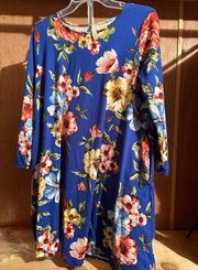Peppermint blue floral dress. Long sleeve. Has pockets. Medium/large No size tag