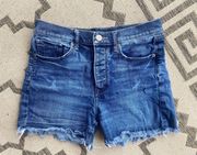 High Rise Shorts